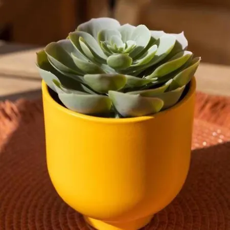 Daire Casa Checha - Un Rincon Con Encanto Cerca De La Playa