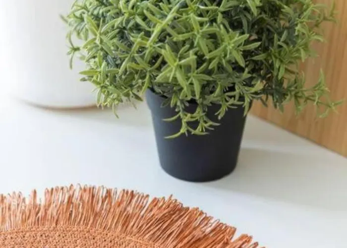 Casa Checha - Un Rincon Con Encanto Cerca De La Playa Apartment