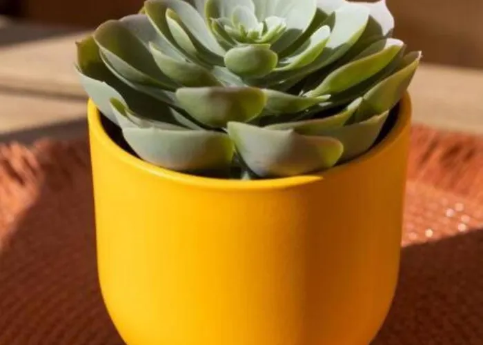 Apartment Casa Checha - Un Rincon Con Encanto Cerca De La Playa